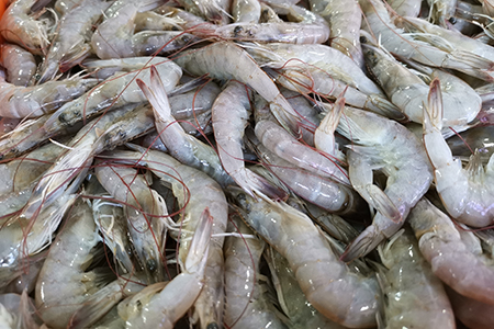 Frozen Vannamei Shrimp Exporters in India